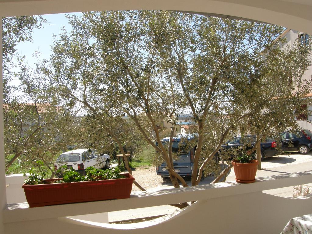 Apartments Marino Povljana Εξωτερικό φωτογραφία